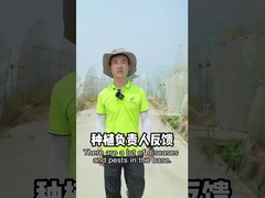 Овоща зеленого цвета SeNPV пестицида овоща убийца насекомого сада инсектицидов органического биологическая