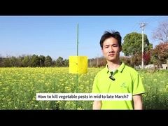 Сельское хозяйство Биологическое инсектицид капуста гусеница алмазный рот личинки биологический пестицид