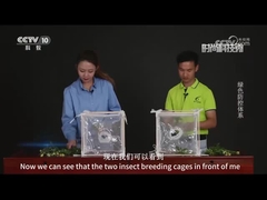 Сравнение вирусных и химических пестицидов при уничтожении свеклы, употребляемой войсками