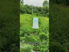 Опасность для вредителей Опасность для насекомых Опасность для свеклы Армейский червь в кукурузе капуста Червь броколью