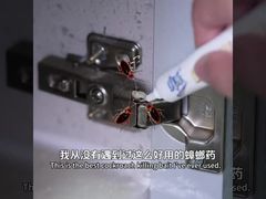 Биологическое инсектицид взрослый таракан личинки яйца Убийство приманки гель удаление тараканов