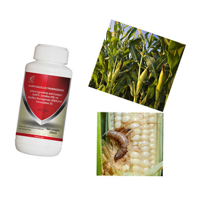 Organic Certified Maize Crop Pesticides with 2 Years Shelf Life in Liquid Formulation