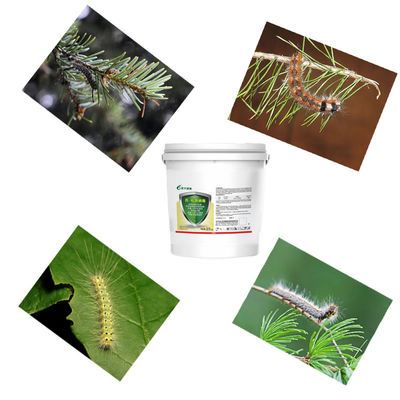 ODM ECO Friendly Biological Pesticide for cabbage white butterfly