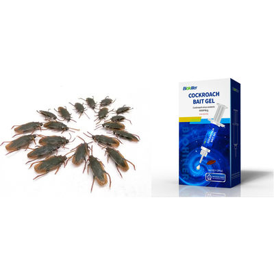 Professional Quick Force Kitchen Insecticide Cockroach Killer Gel 5g 10g 20g 50g