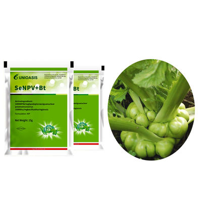 Active Ingredient Pest Virus And Bt Corn Kill Beet Armyworm Eggs Beet Armyworm