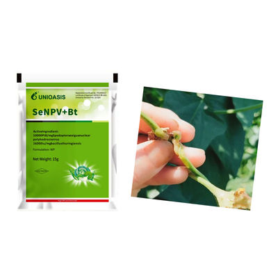Active Ingredient Pest Virus And Bt Corn Kill Beet Armyworm Eggs Beet Armyworm
